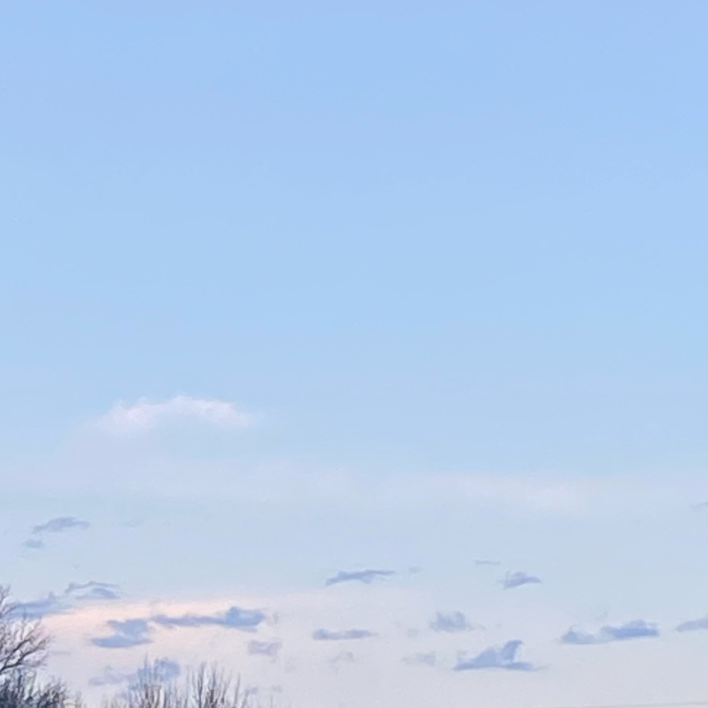 Meet your Posher, Lillian